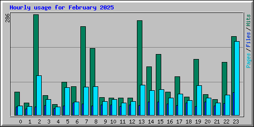 Hourly usage for February 2025