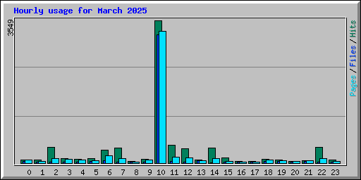 Hourly usage for March 2025