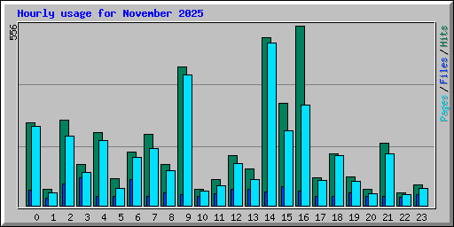 Hourly usage for November 2025